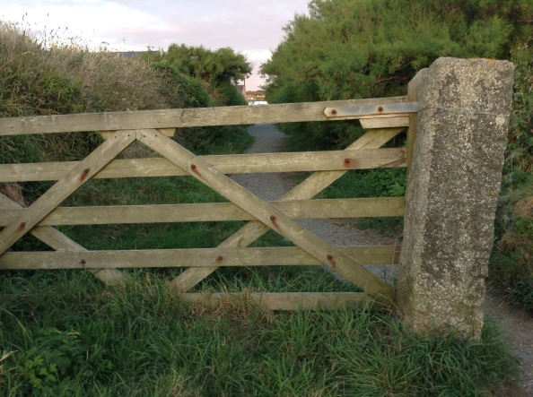 Day 21 - Open the gate to new pastures 
